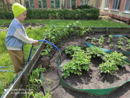 «У нас дел невпроворот, мы растим корнеплод». «У нас дел невпроворот, мы растим корнеплод». .